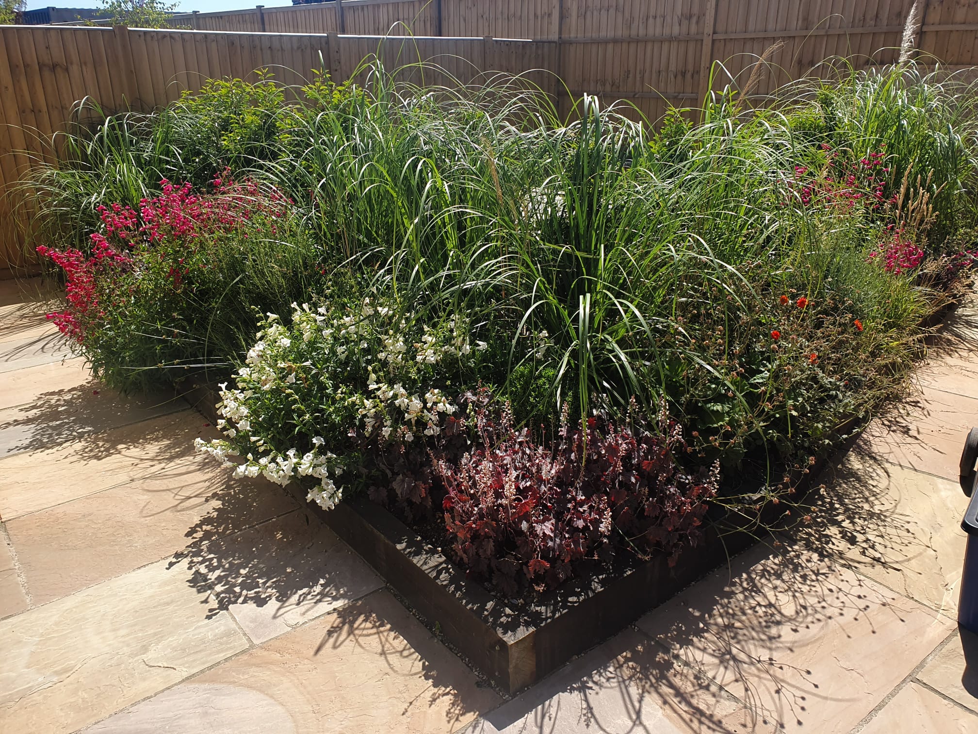 Plants in flowerbed